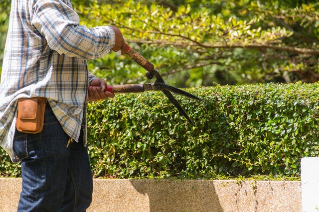 Garden Maintenance Southall, UB1, UB2